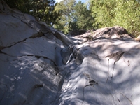 rrente Quarantore-20110911 046